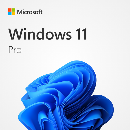 Windows 11 Pro