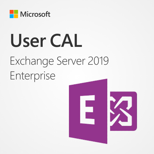 Microsoft Exchange Server 2019 Enterprise User CAL