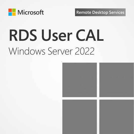 Windows Server 2022 RDS User CAL