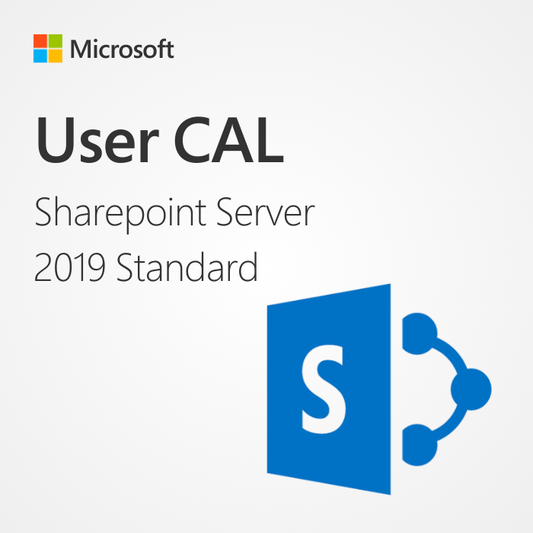 Microsoft Sharepoint Server 2019 Standard User CAL