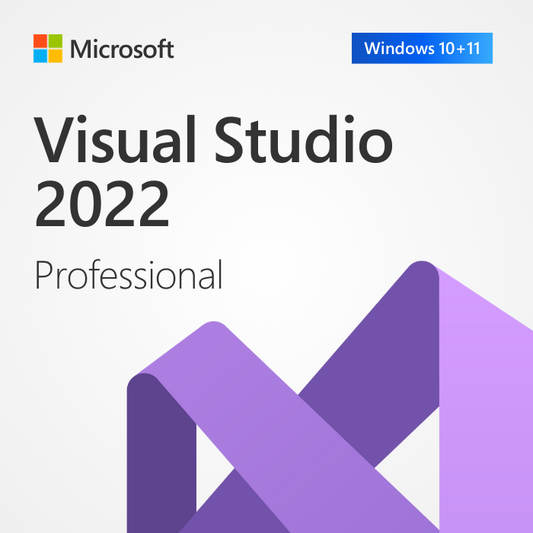 Microsoft Visual Studio 2022 Professional